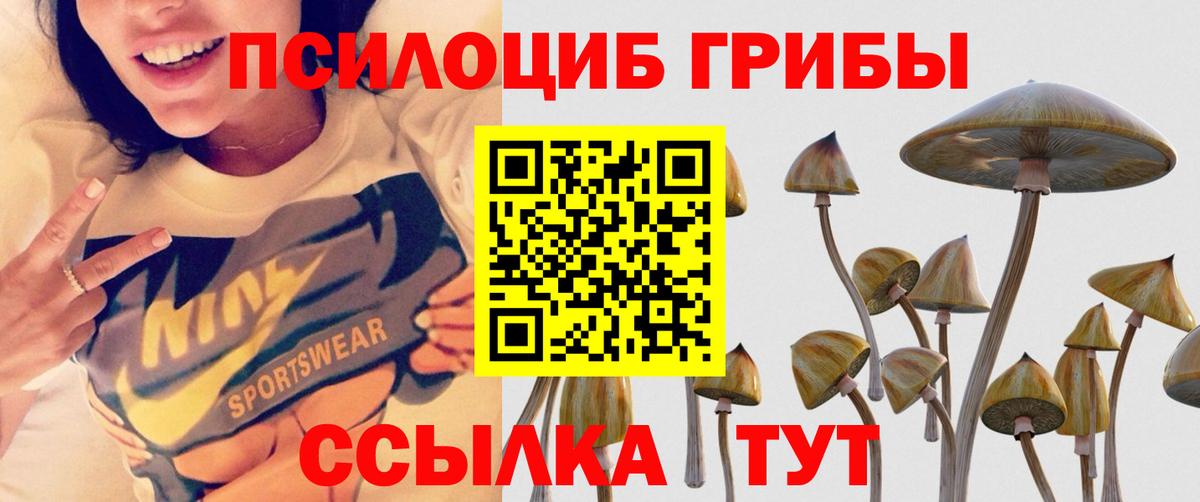 Псилоцибиновые грибы мицелий Жуковский